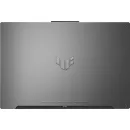 Ноутбук ASUS TUF Gaming F17 FX707VJB-HX100 (90NR0MY5-M003R0_Win11P) Intel Core 5 210H 2200MHz/17.3
